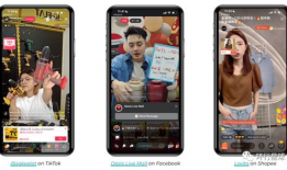 全球性爱直播网站,揭秘网络性产业的秘密世界
